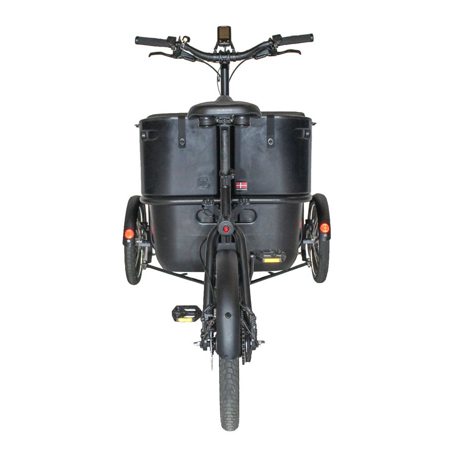Black Iron Horse Ibex – Bild 6 von 8