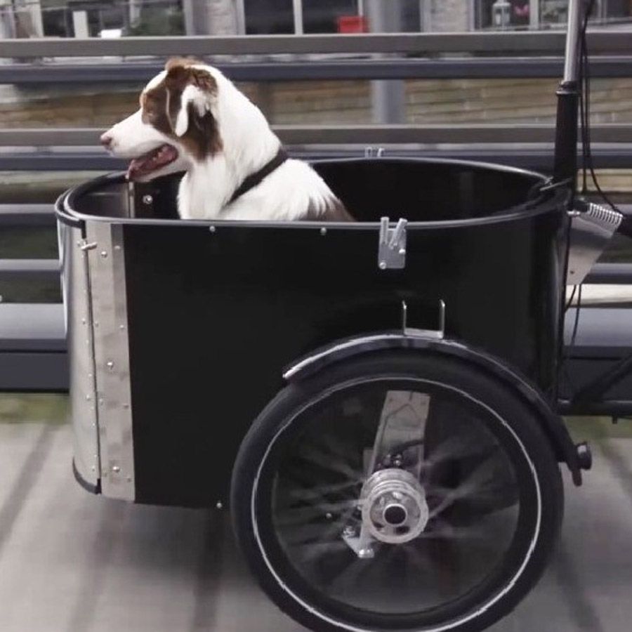 Nihola nihola Dog Gen2 – Bild 2 von 6